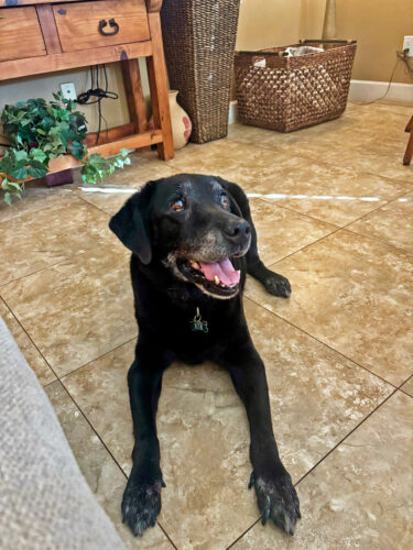 Send your best photos from Maui County to mauiphotos@mauinews.com for a chance to see them featured on our website and in our weekly print edition.